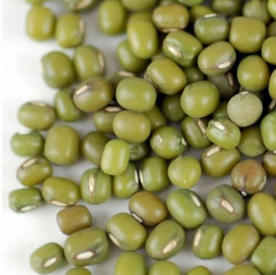 Organic 'Mappe Green' mung bean