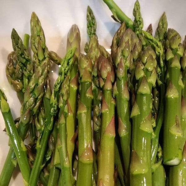  Asparagus 'Mary Washington' organic