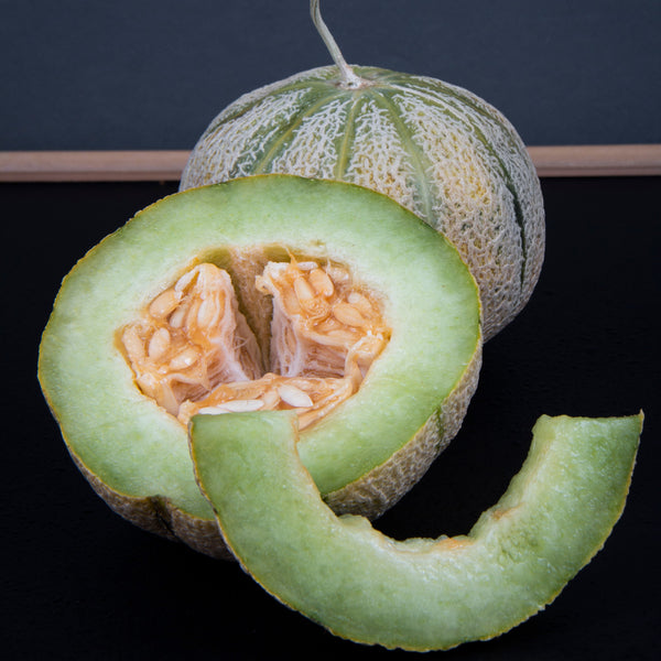 Melon 'Montreal Market'