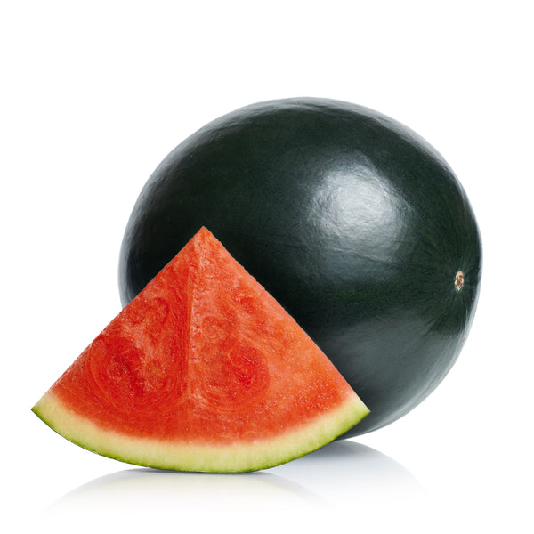 Melon d'eau 'Blacktail Mountain'