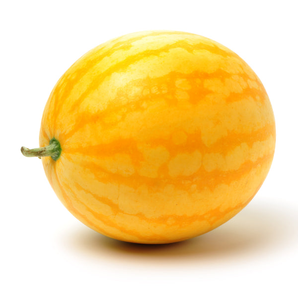 Melon d'eau 'Golden Crown' F1