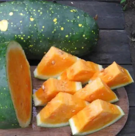 Watermelon yellow 'Moon & Stars’ organic