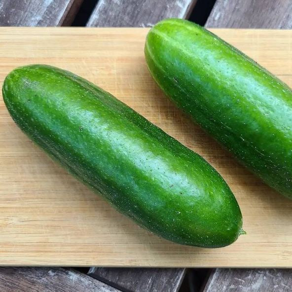 Organic 'Muncher' Cucumber