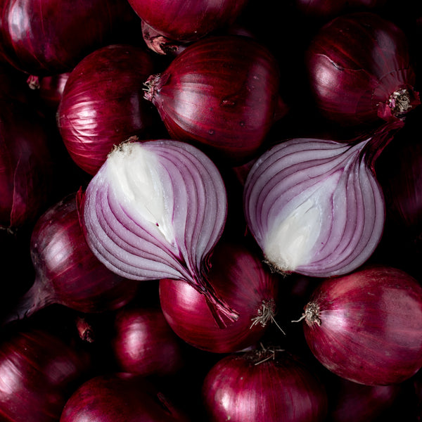 Monastrell Onion F1