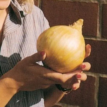 Kelsae Sweet Giant Onion