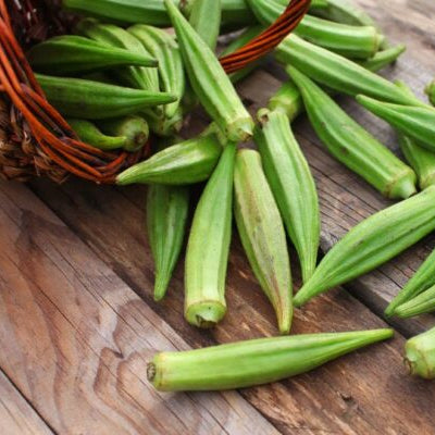 Okra 'Lady Finger'