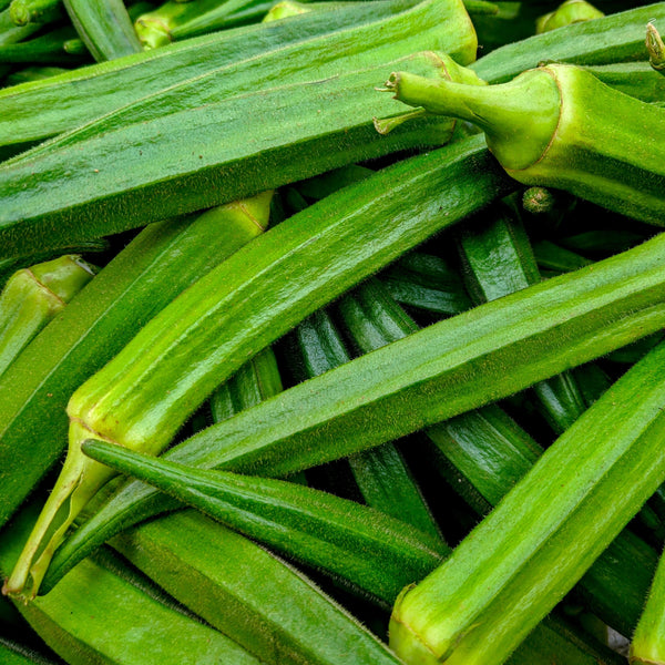 Okra