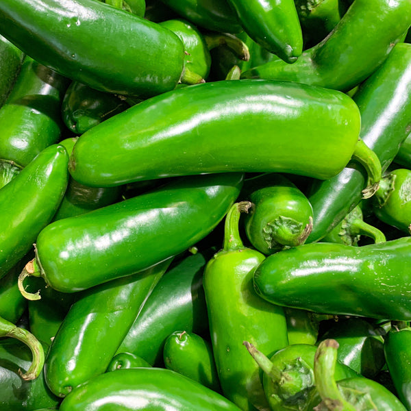 Piment fort 'Jalapeño' précoce