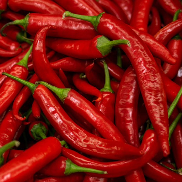 Piment fort 'Cayenne Long Red'