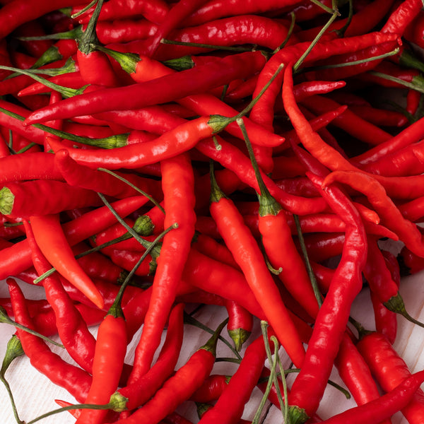 Piment fort 'Aji Sivri' bio