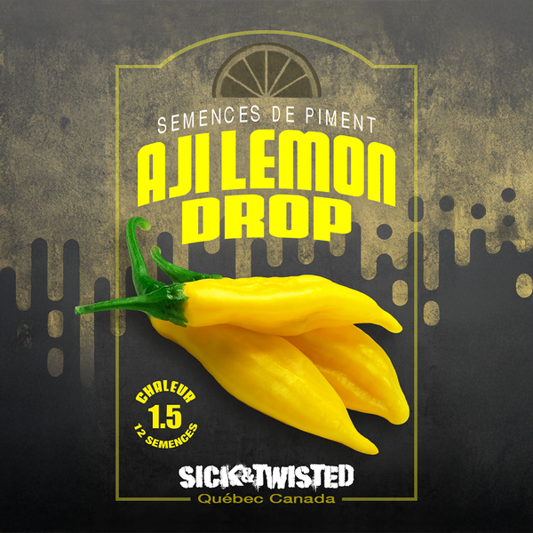 Piment fort 'Aji Lemon Drop'