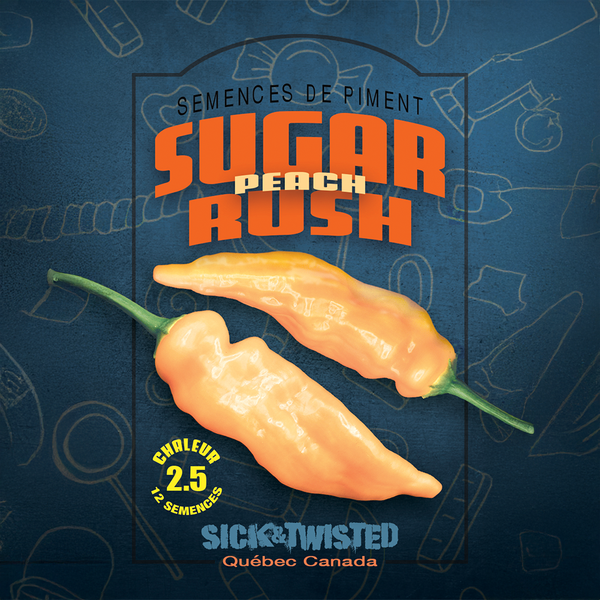 Hot pepper 'Sugar Rush Peach'