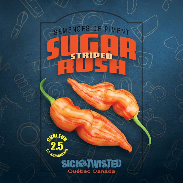 Piment fort 'Sugar Rush Striped'