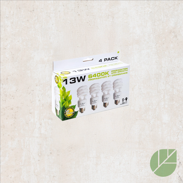 Compact fluorescent bulbs (4x) 13W, 6400K