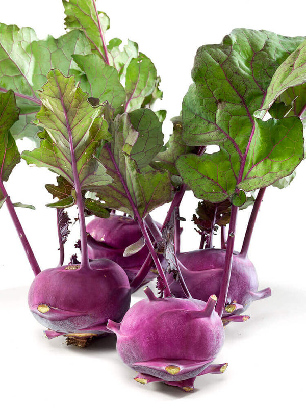 Kohlrabi Vienna 