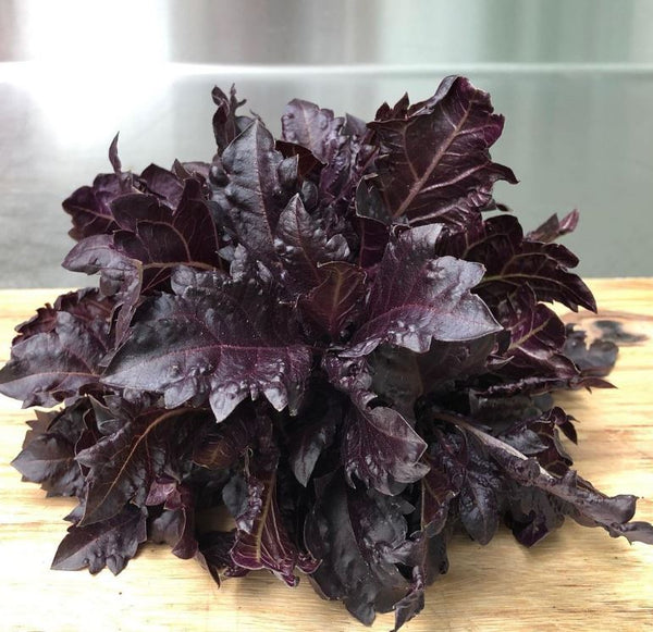 Basilic 'Purple Ruffles' bio