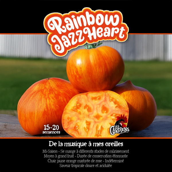 Tomate 'Rainbow Jazz Heat'