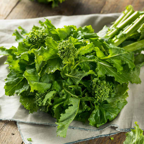 Rapini 'Raab San Marzano' (90 jours)