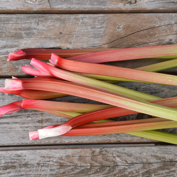 Organic Rhubarb 'Glaskins'