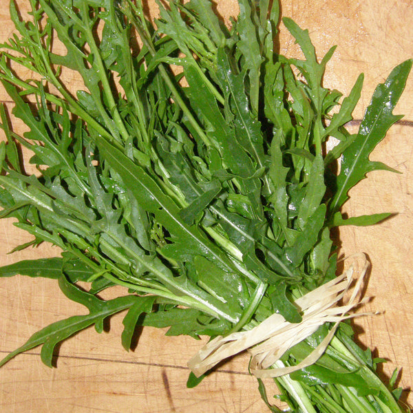 Organic Italian Rocket 'Sylvetta'