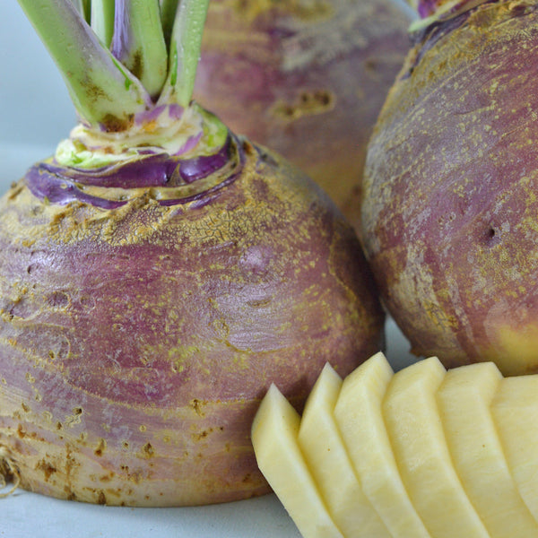 Organic Rutabaga 'Fortin'