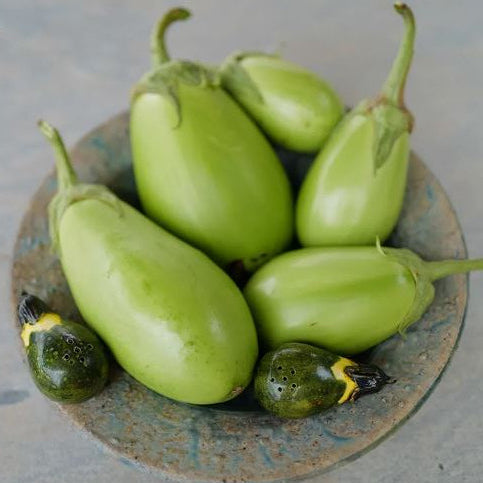 Eggplant 'Shiromaru' organic