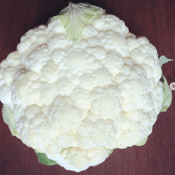 Cauliflower 'Skywalker F1' white