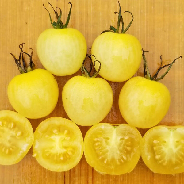 Cherry tomato 'Snow White' organic