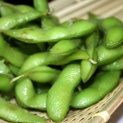 Soja edamame 'Envy' bio