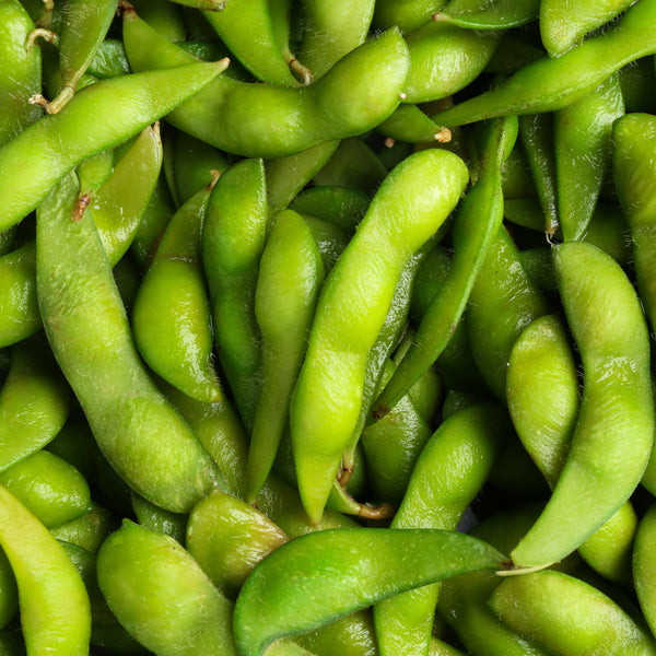 Edamame Karikachi No.3 F1 Soybeans