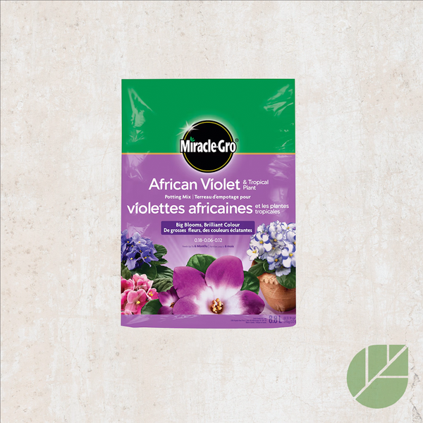 Terreau pour violettes africaines et plantes tropicales