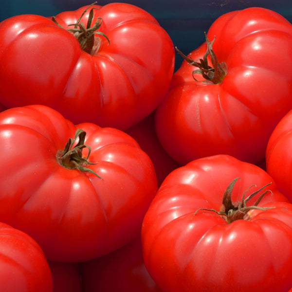 Organic 'Beefsteak' Tomato