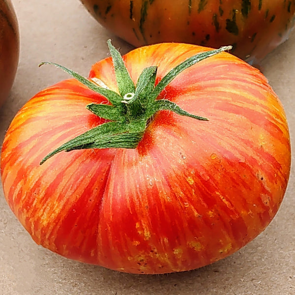 Tomato 'Beefy Red' organic