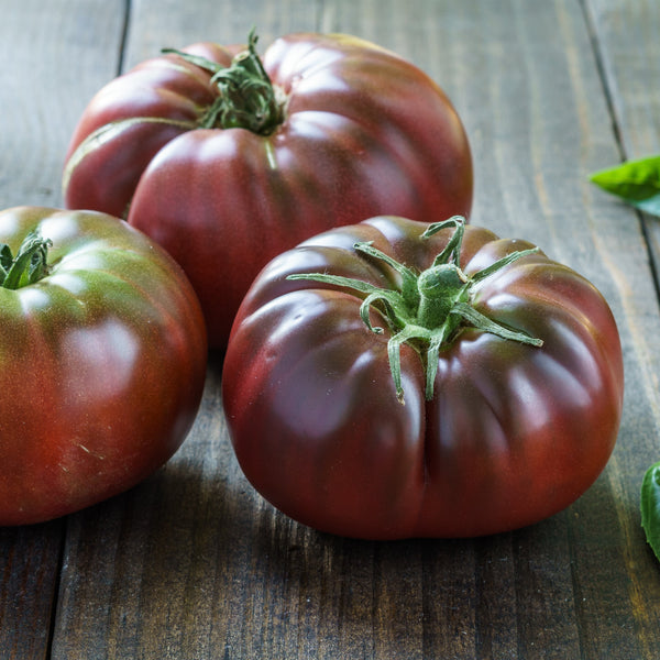 Tomato 'Brandywine'