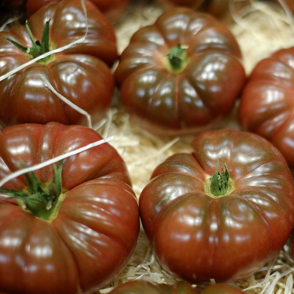 Tomato 'Cherokee Purple'