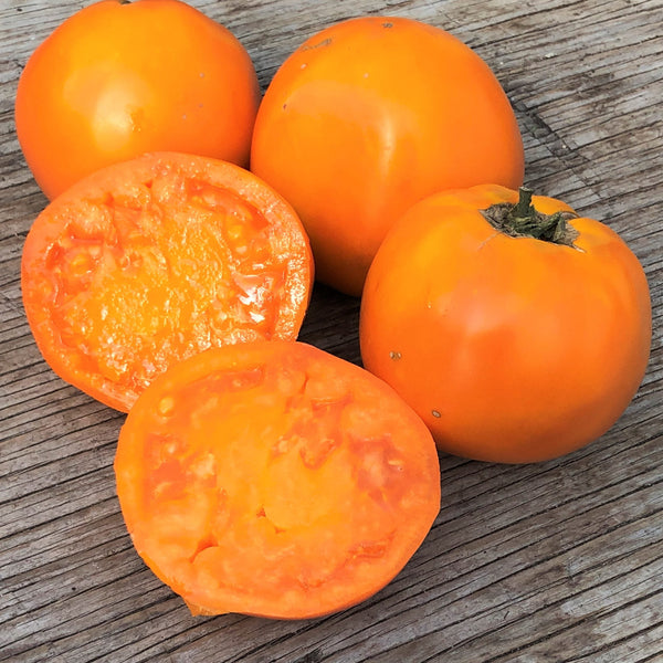 Organic Standard Tomato 'Golden Delight'