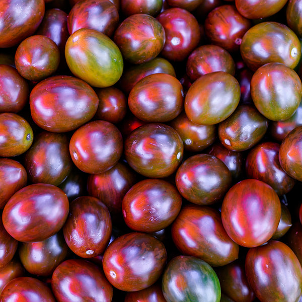 Tomato 'Black Plum'