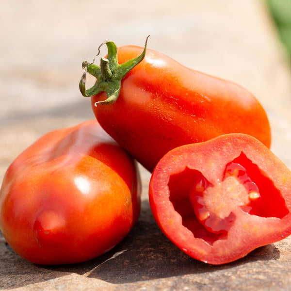 Organic Italian Tomato 'San Marzano'