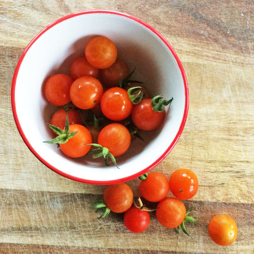 Tomate Cerise "Petit Moineau" bio