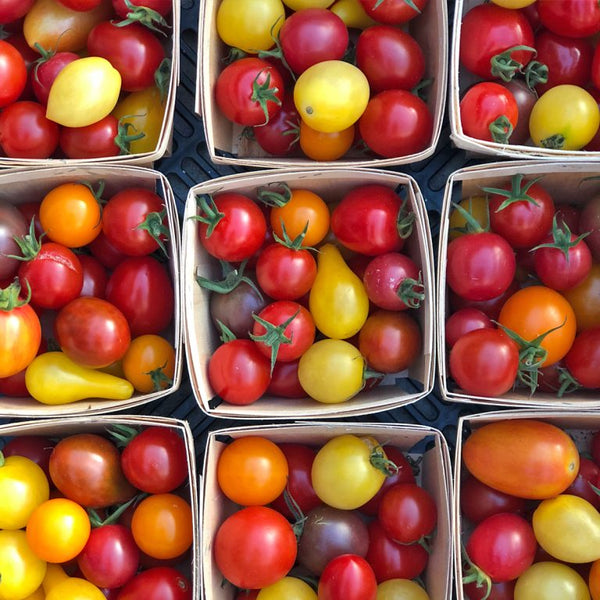 Organic mixed tomatoes and berries