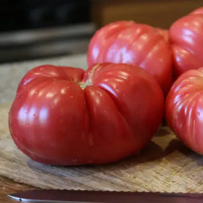 Hybrid tomato 'Pink Delicious Rose'