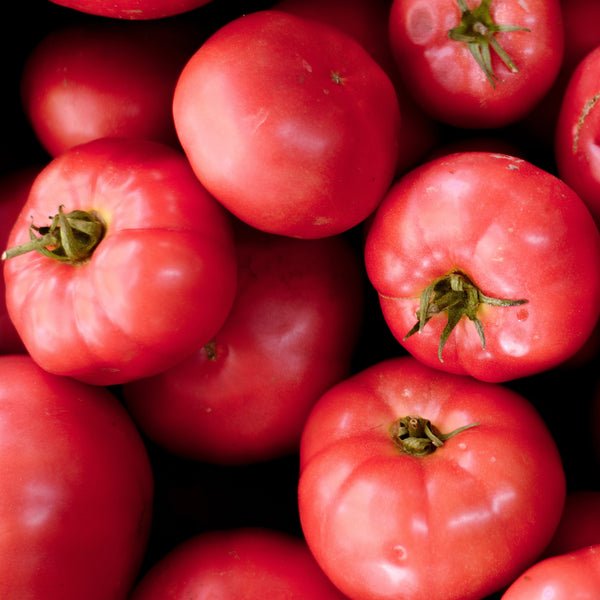 Tomato Pink Girl 