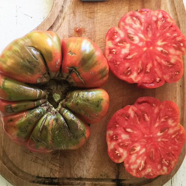 Organic 'Beefsteak Adelin Morin' tomato