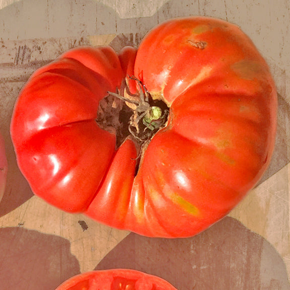 Tomate Beefsteak "Mémé de Beauce" bio