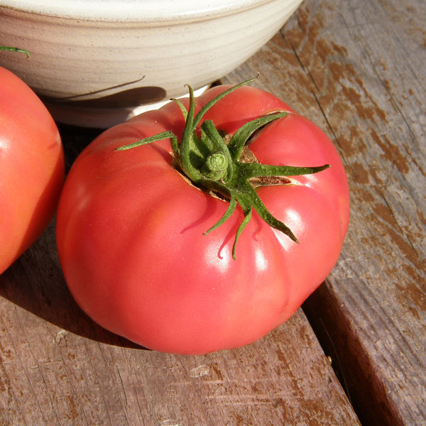 Organic 'Savignac' tomato