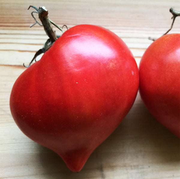 Organic Beef Heart Tomato 'Venus's Nipple'