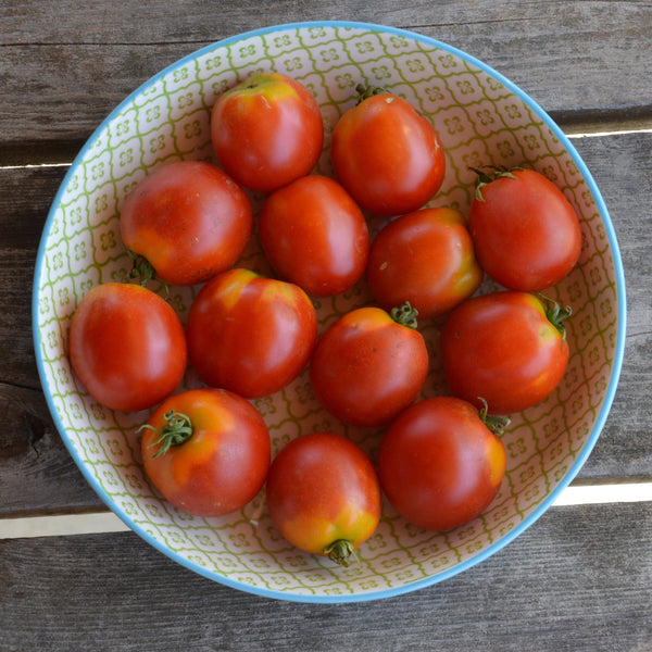 Organic Standard 'Glacier' Tomato