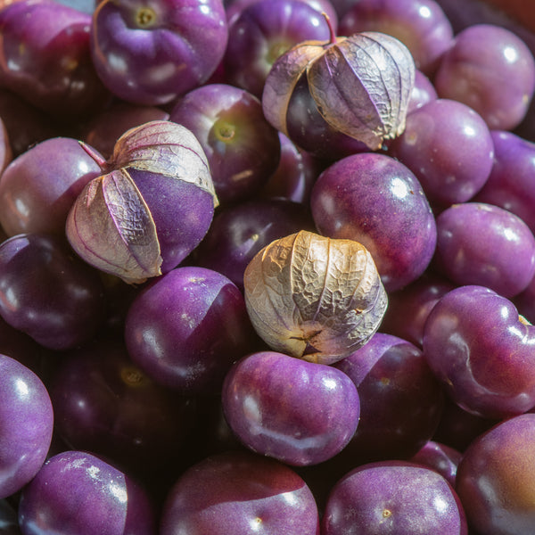 Tomatillo 'Purplekeepers'