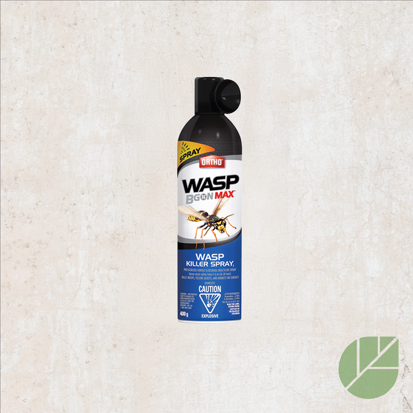 Wasp killer spray - ORTHO® WASP B GON MAX®