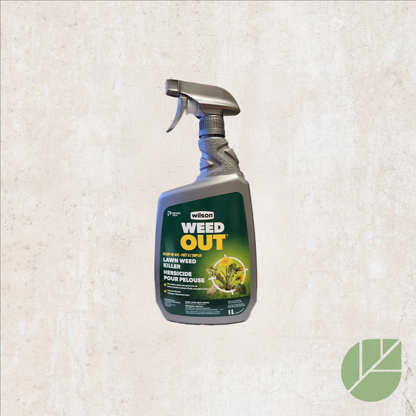 Herbicide pour pelouse WEEDOUT de Wilson